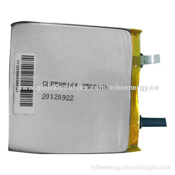 Lithium Polymer Battery with 2500mAh Capacity and 3.7V Nominal Voltage